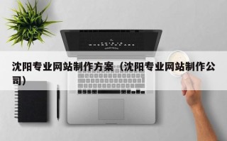 长葛沈阳专业网站制作方案（沈阳专业网站制作公司）